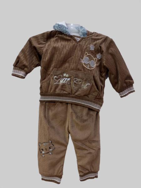 Baby Hoodie Velvet Suit