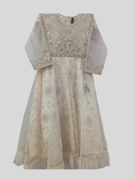 Baby Maxi Frock Embroidery