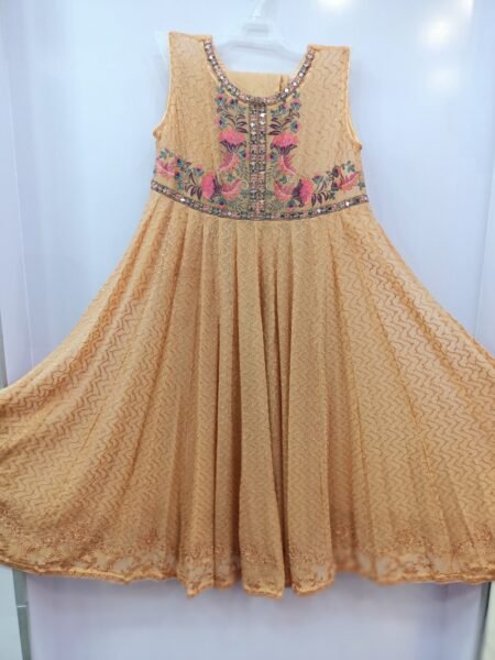 Baby Girl's Embroidered Maxi Frock